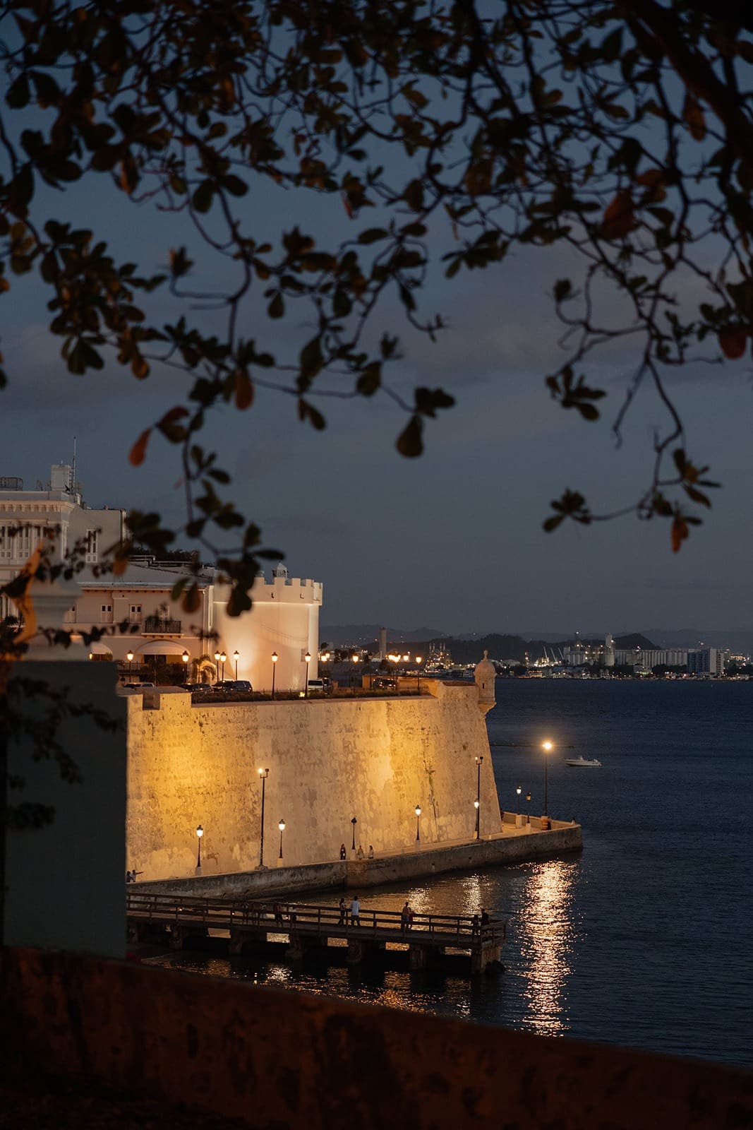 Illuminated historic fortress overlooking San Juan Bay at dusk, framed by tree branches.